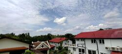 Leedon Park (D10), Detached #619483841